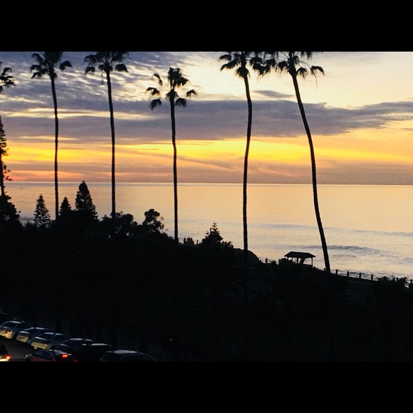 Meet your Posher, Liz. - Picture 6 of 8